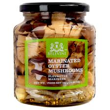 MOLDOVA  OYSTER MUSHROOMS by Lb